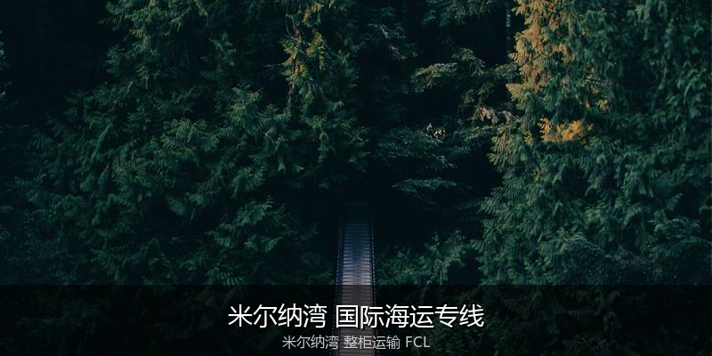 海运拼箱与整柜运输优劣对比